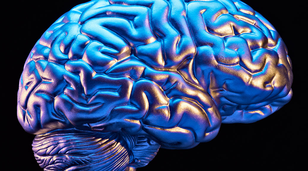 Featured: Silver Brain